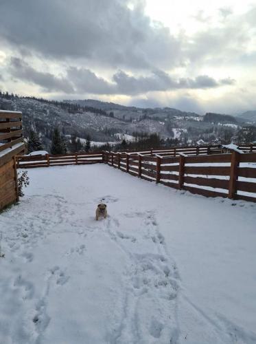 received_143717614332629