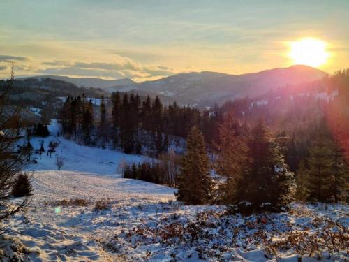 received_1934162043410524