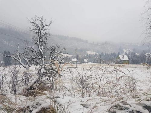 received_269375998172690