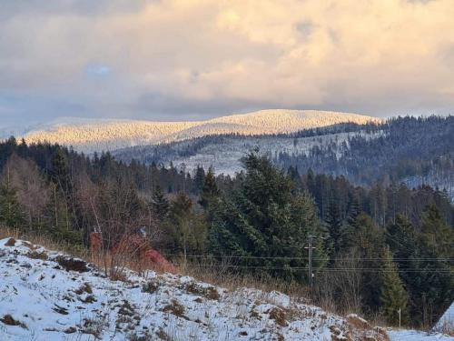 received_287468422965722