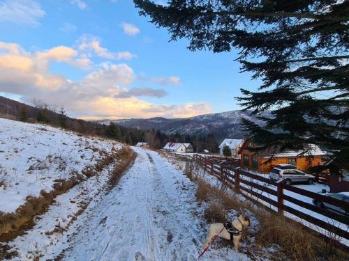 received_296652251833807