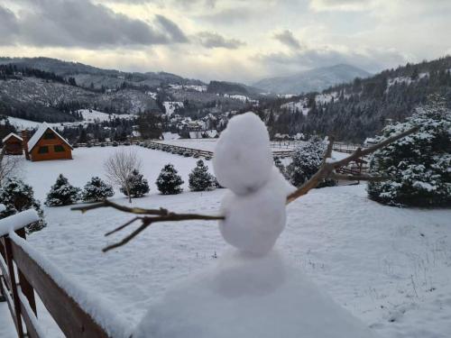 received_3902297656530552