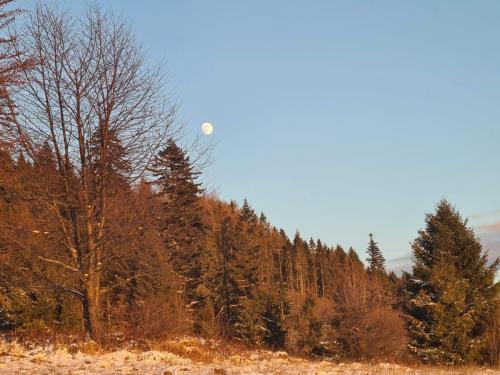 received_4431339450213834