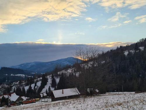 received_494946428344323